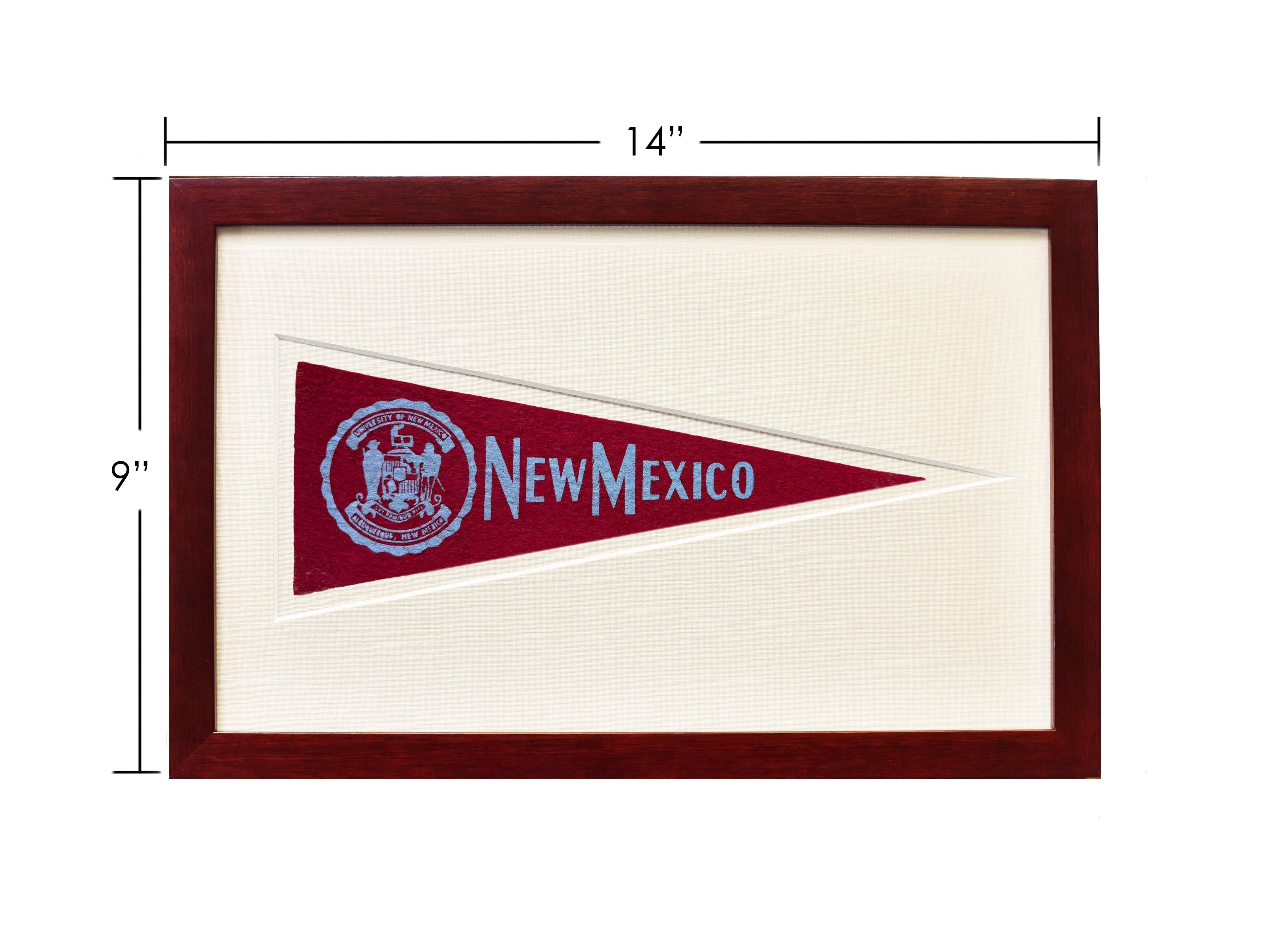 Vintage University of New Mexico Hormel Pennant