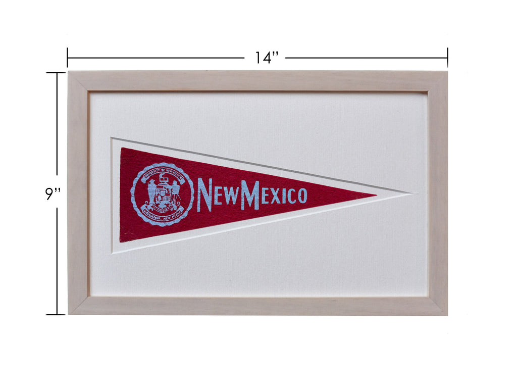 Vintage University of New Mexico Hormel Pennant