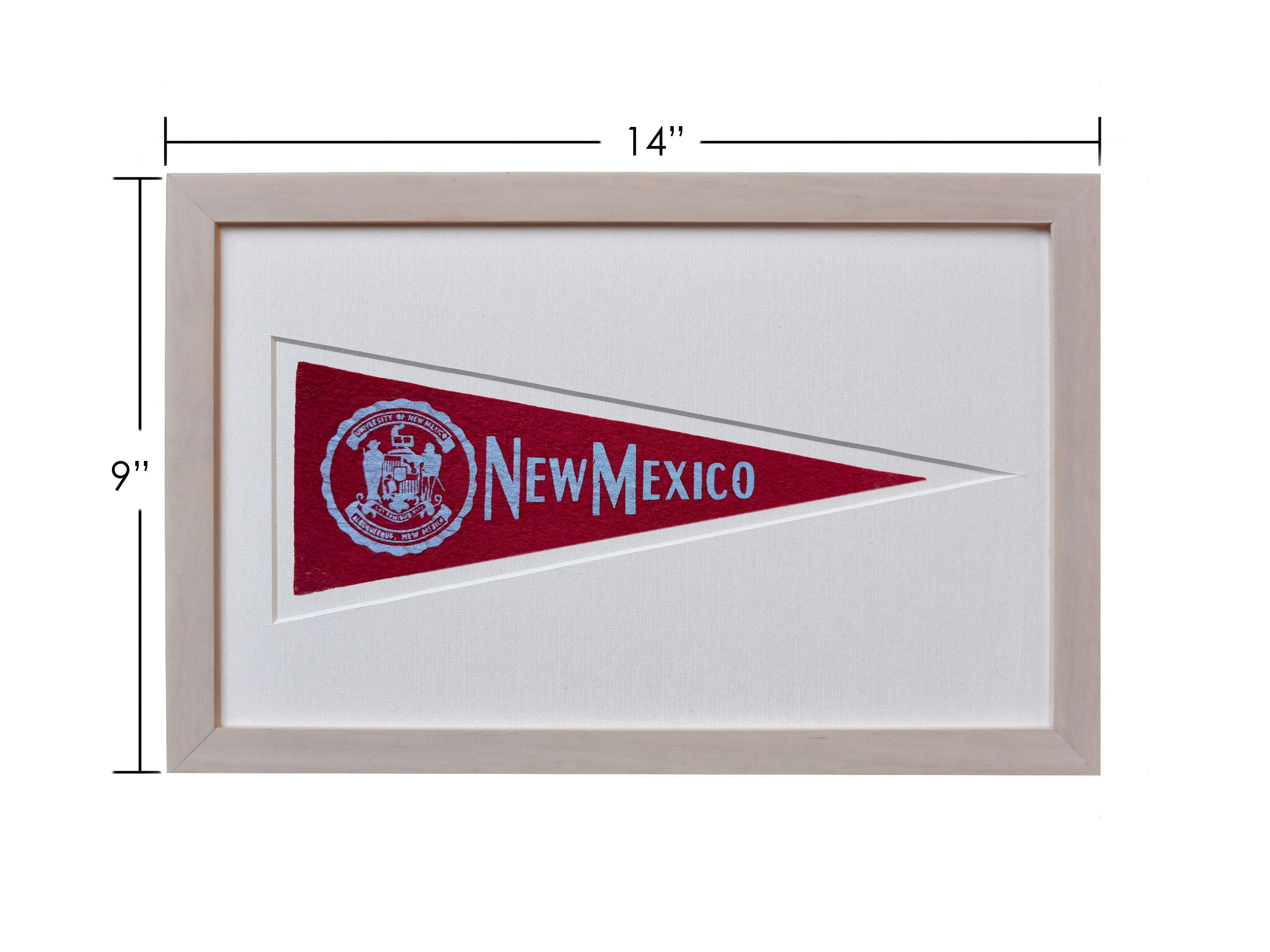 Vintage University of New Mexico Hormel Pennant