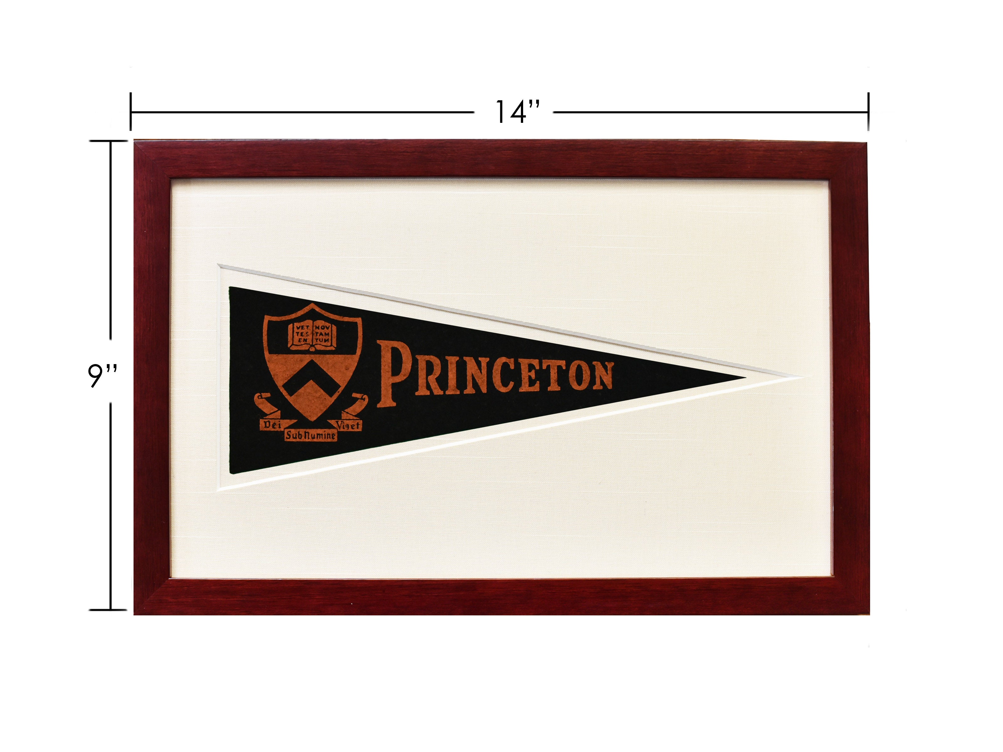 Vintage Princeton University Hormel Pennant