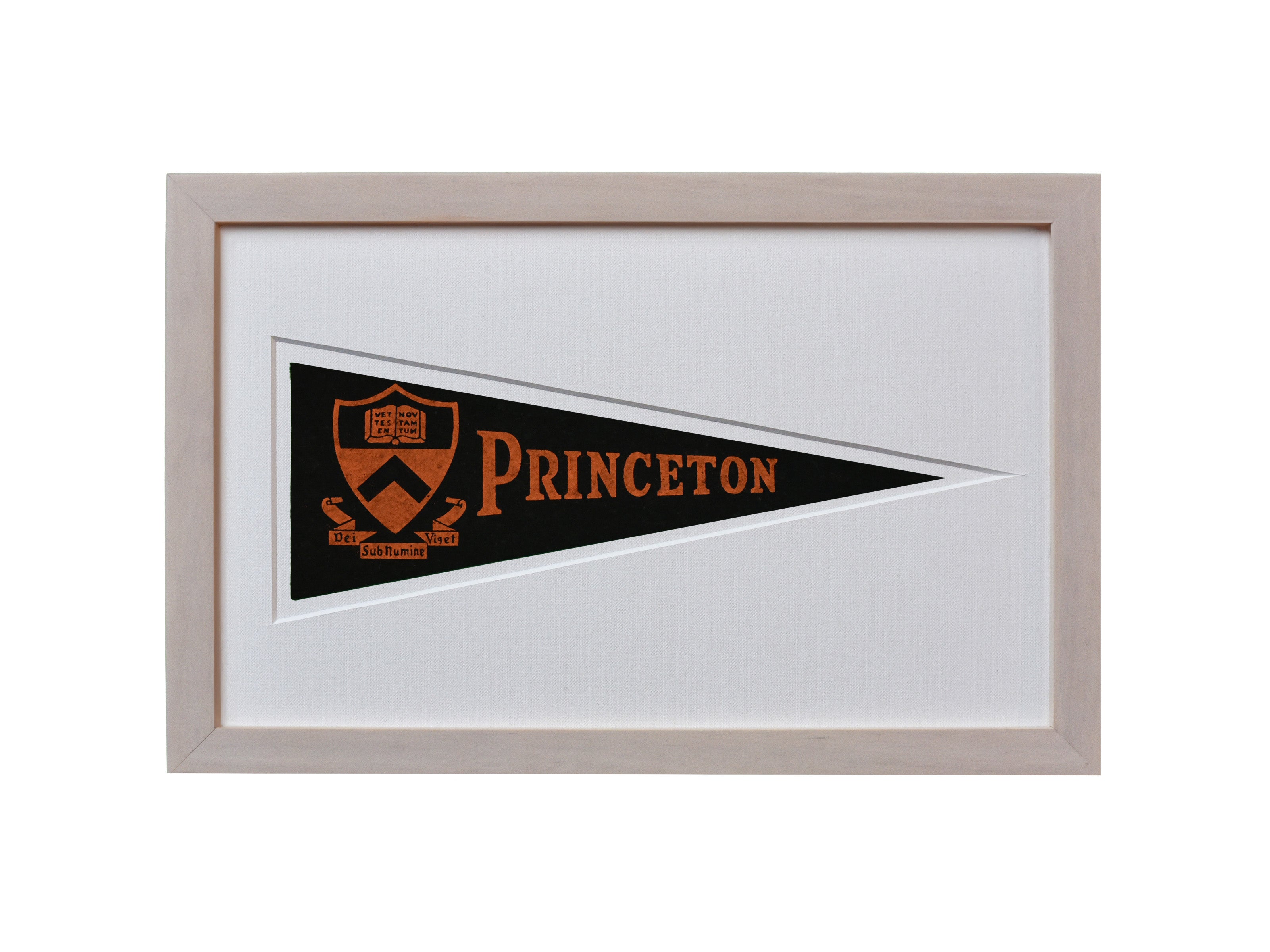 Vintage Princeton University Hormel Pennant