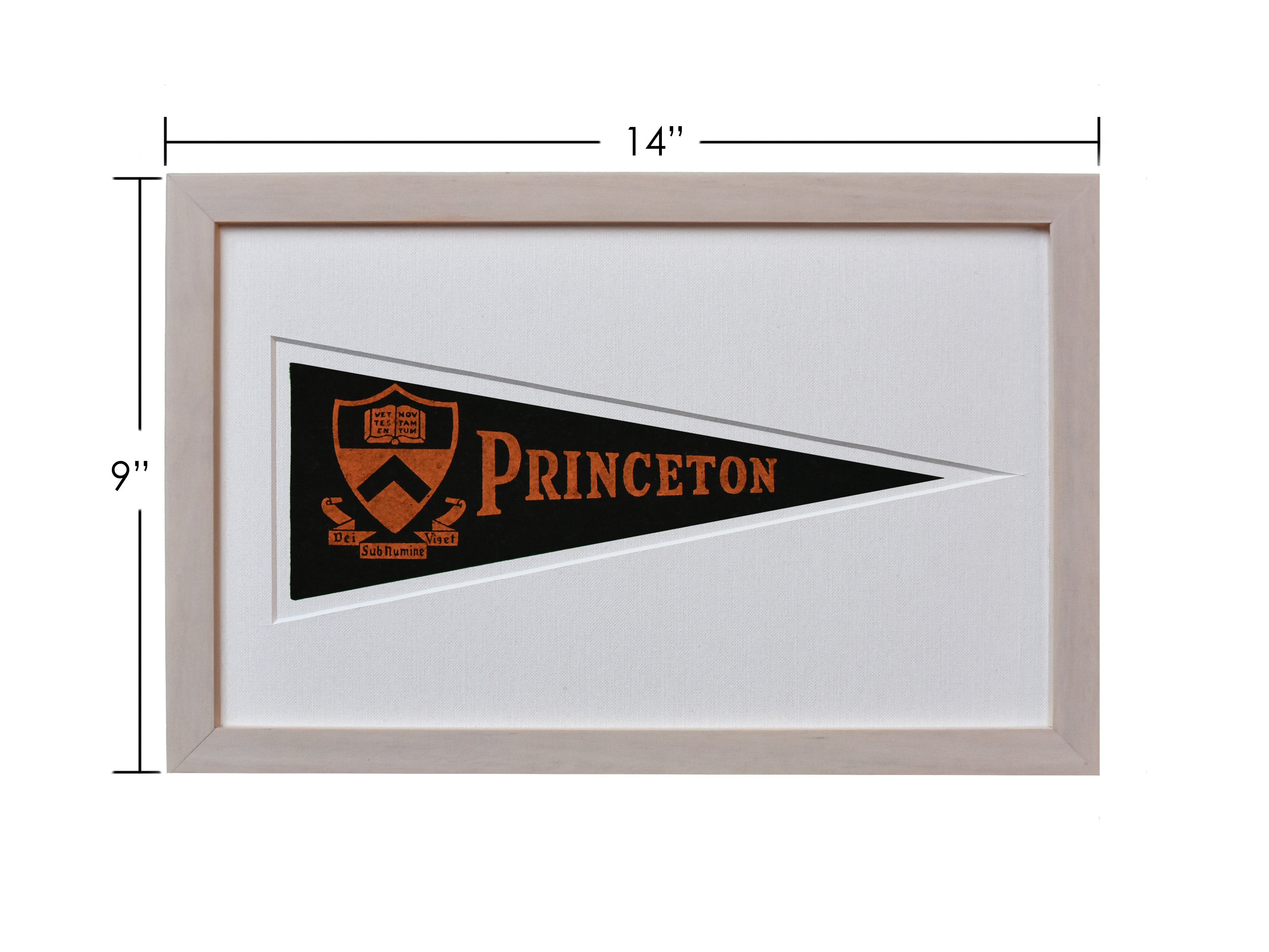 Vintage Princeton University Hormel Pennant
